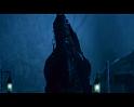 PDVD_1168