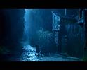 PDVD_1184