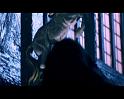 PDVD_1211