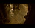 PDVD_1300