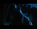PDVD_1386