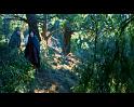 PDVD_1419