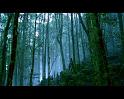 PDVD_1426