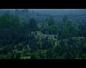 PDVD_1429