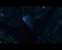 PDVD_1479