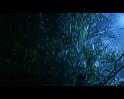 PDVD_1484