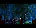 PDVD_1489