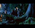 PDVD_1491