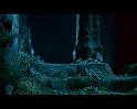 PDVD_1546