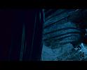PDVD_1590