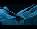 PDVD_1675