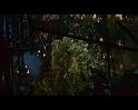 PDVD_1686