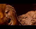 PDVD_1706