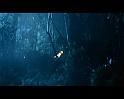 PDVD_1737