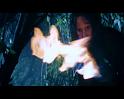 PDVD_1738