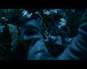 PDVD_1739