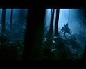 PDVD_1794
