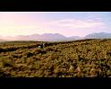 PDVD_1799