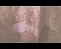 PDVD_1910