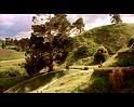 PDVD_213
