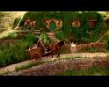 PDVD_216