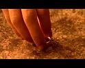 PDVD_2213