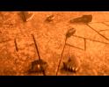 PDVD_2284