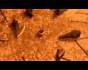 PDVD_2285