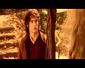 PDVD_2334