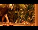 PDVD_2366