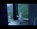 PDVD_2586