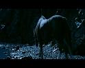 PDVD_2667