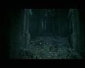 PDVD_2705