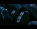 PDVD_2753