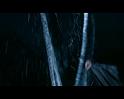 PDVD_2757