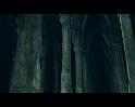 PDVD_2872