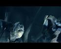 PDVD_3070