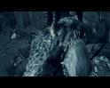 PDVD_3084