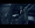 PDVD_3161