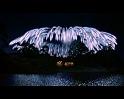 PDVD_324