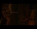 PDVD_3302
