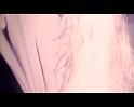 PDVD_3463