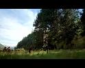 PDVD_3584