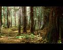 PDVD_3585