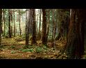 PDVD_3586