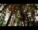 PDVD_3587