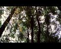 PDVD_3588
