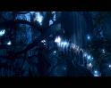 PDVD_3644