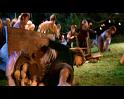PDVD_371