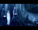 PDVD_3761